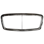 Bentley Continental GT GTC Radiator Grille Trim 3W3853667A