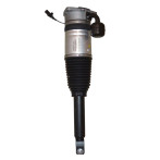 Bentley Continental GT Left Rear Air Spring Damper 3W8616001D