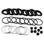 Rolls-Royce & Bentley T1 Late Rear Brake Caliper Seal Kit CD5847