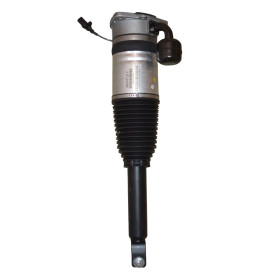 Bentley Continental GT Left Rear Air Spring Damper 3W8616001D