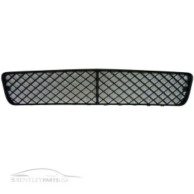 Bentley Continental Front Bumper Grill Center 3W8807667C