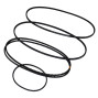 Bentley Arnage Red Label Fan Belt Kit 2000-2002 BELTKIT12